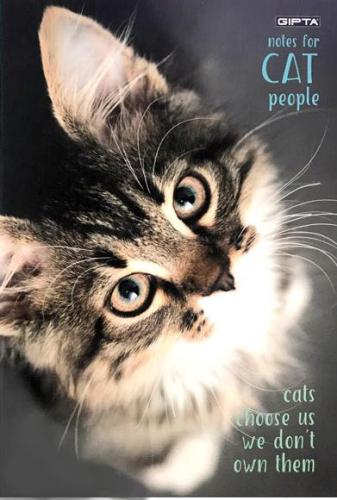GIPTA CAT SP. KARTON KPK DEFTER 17x24 60 yp Kareli