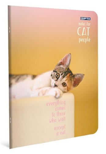 GIPTA CAT SP. KARTON KPK DEFTER 17x24 60 yp Kareli
